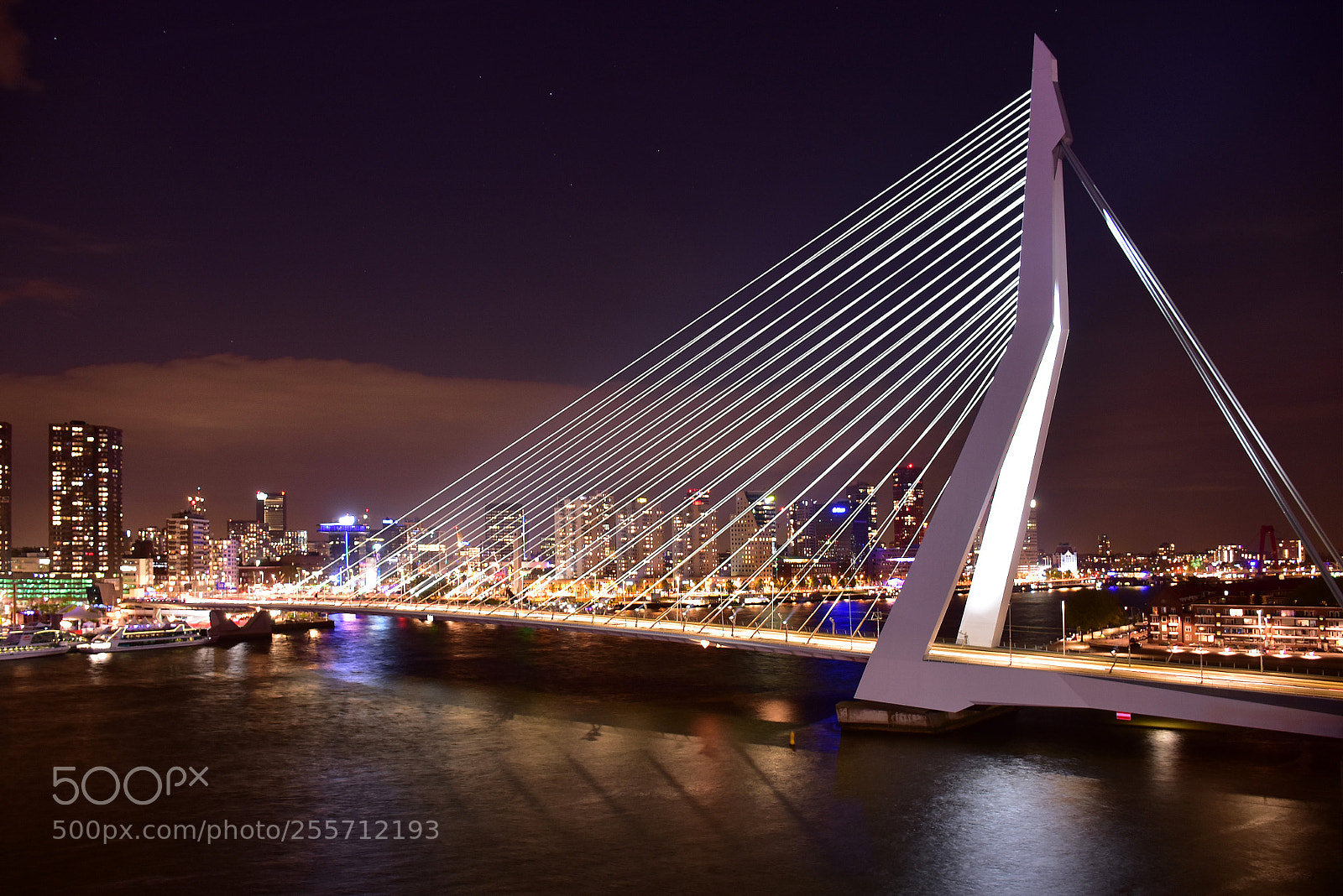 Nikon D7200 sample photo. Rotterdam by night photography