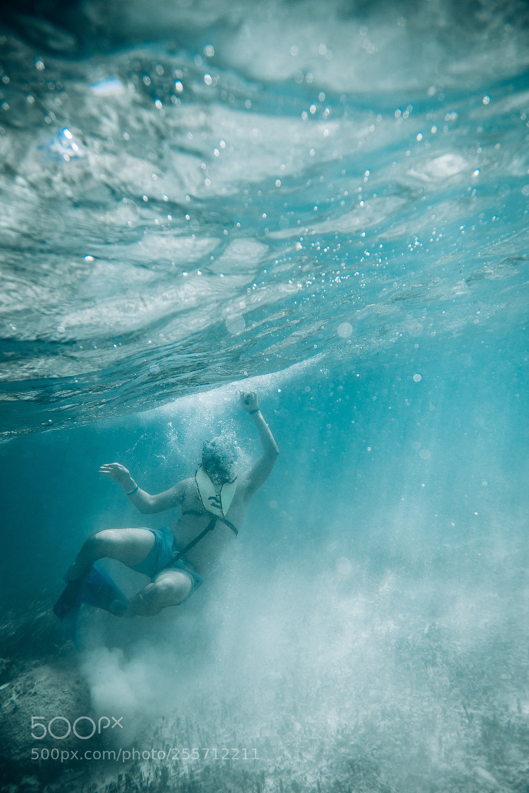 Canon EOS 6D sample photo. Life underwater. photography