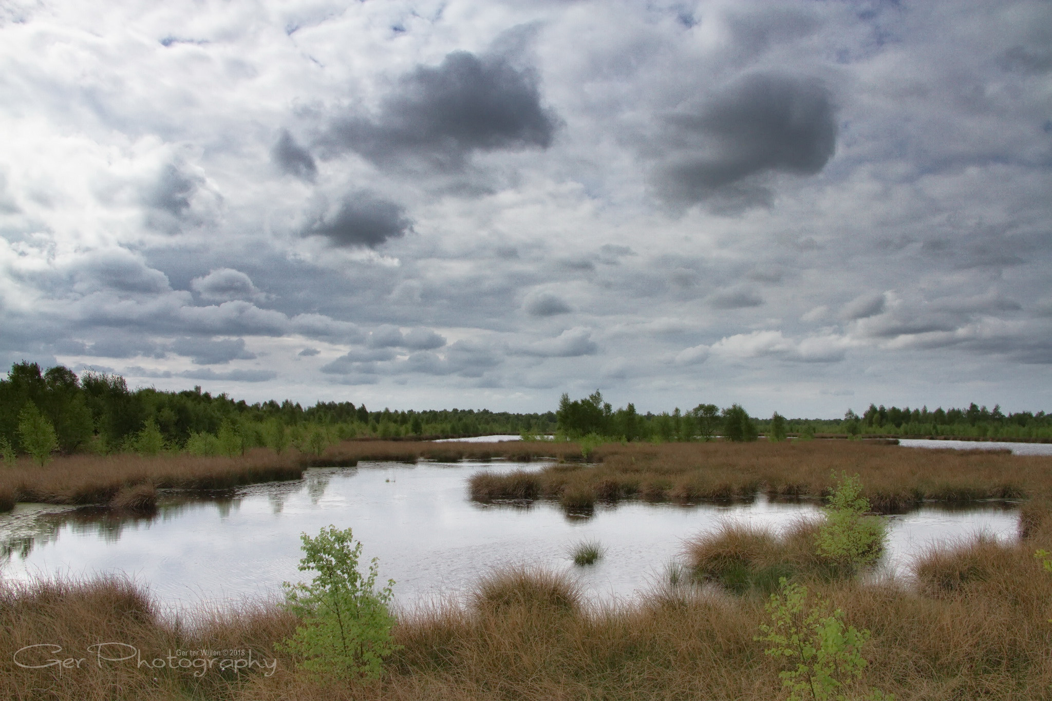 Canon EOS 7D sample photo. Misterious swamp photography