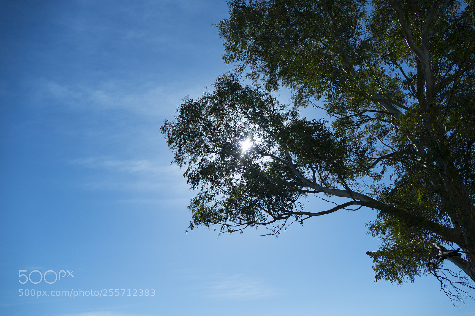 Panasonic Lumix DMC-FZ1000 sample photo. B () photography