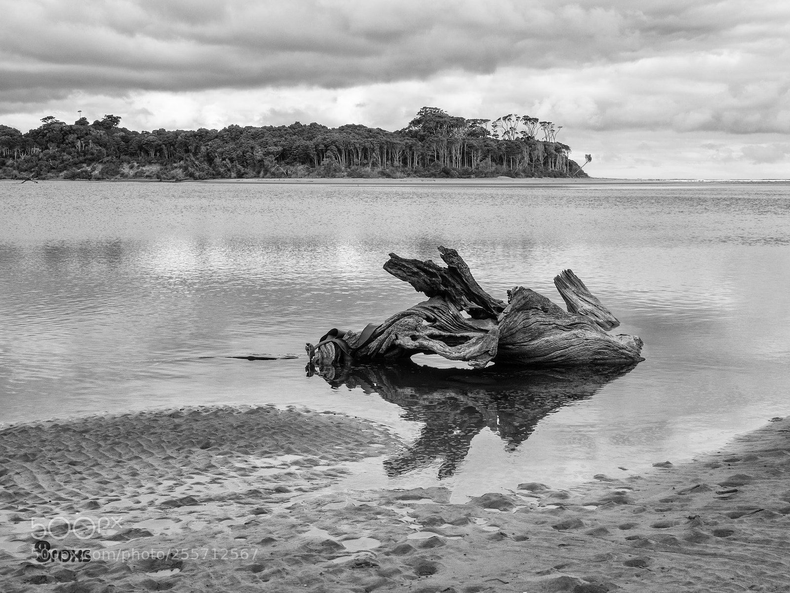 Olympus OM-D E-M10 sample photo. Lonely beach photography