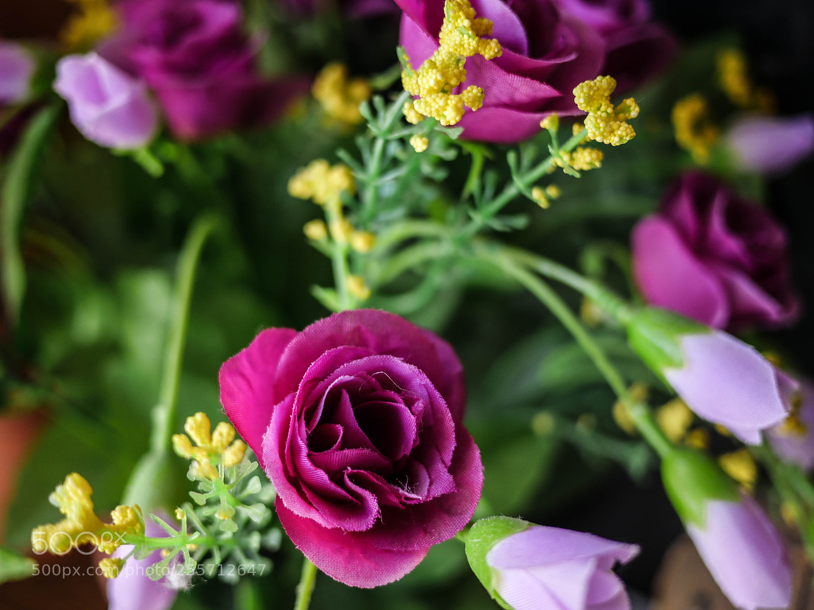 Panasonic Lumix DMC-GH4 sample photo. B () photography