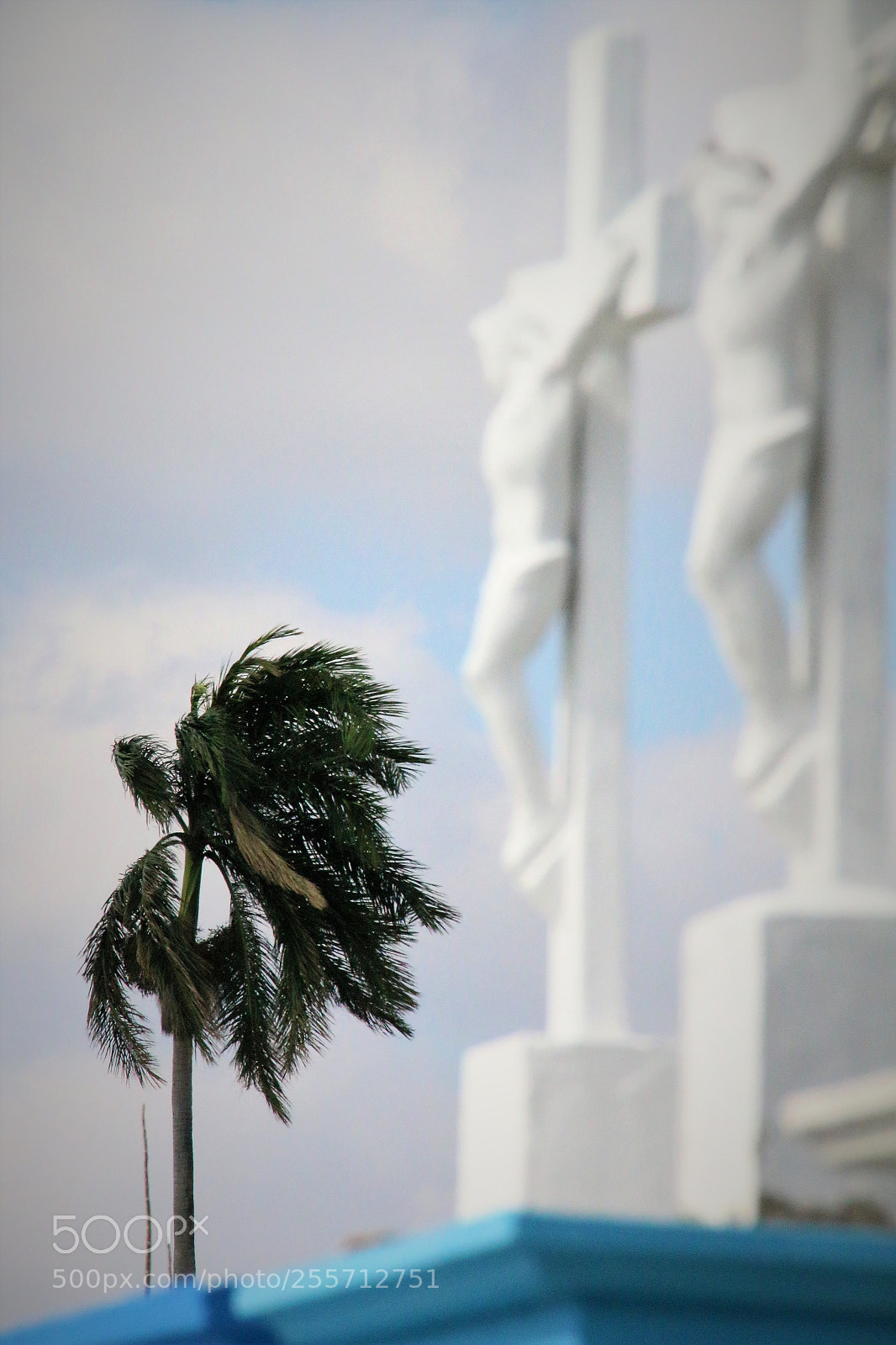 Canon EOS 70D sample photo. Palma photography