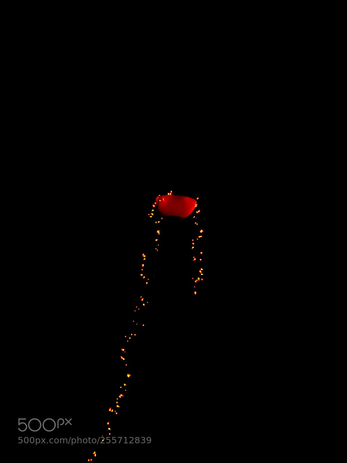 Samsung Galaxy S9+ sample photo. Night life photography