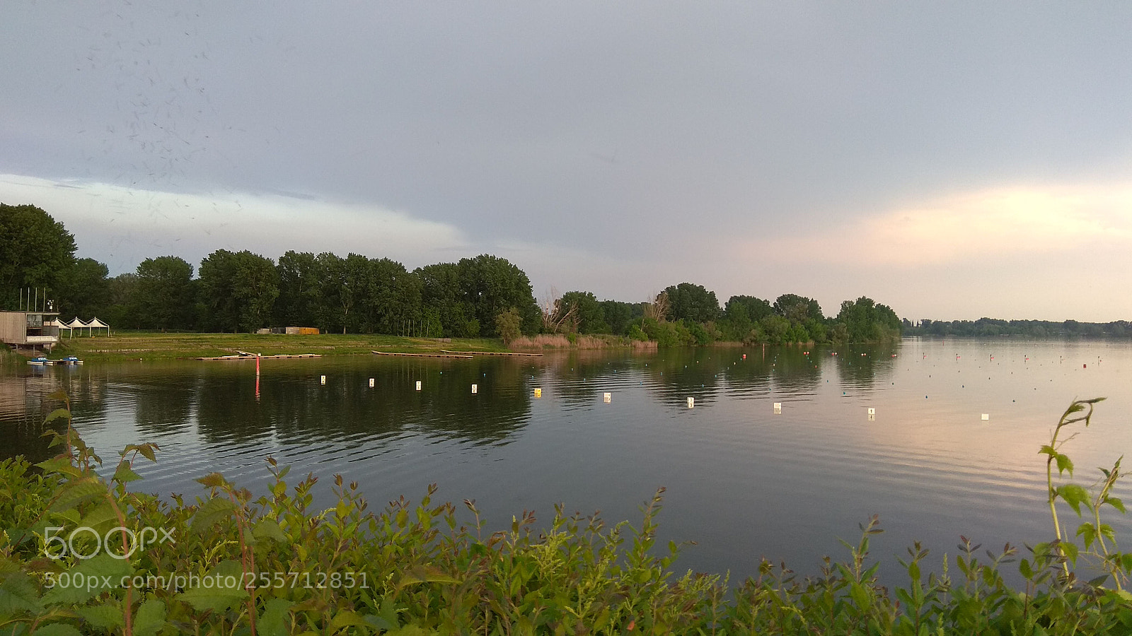 Xiaomi Redmi Note 4 sample photo. Untitled photography