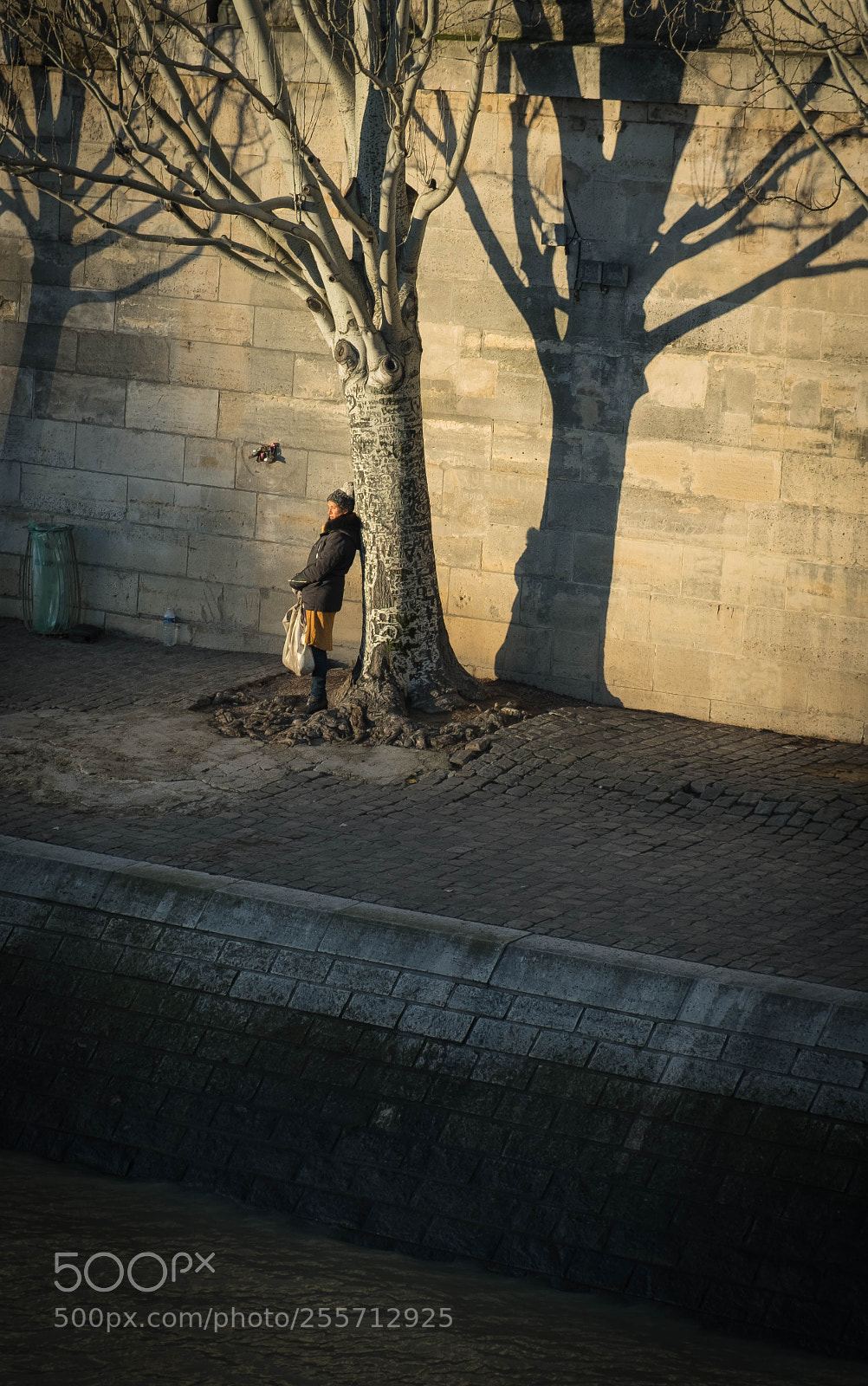 Fujifilm X-T2 sample photo. Give her sun photography