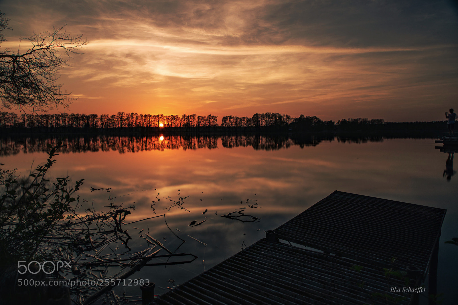 Canon EOS 5D Mark IV sample photo. Spiegelglatt photography