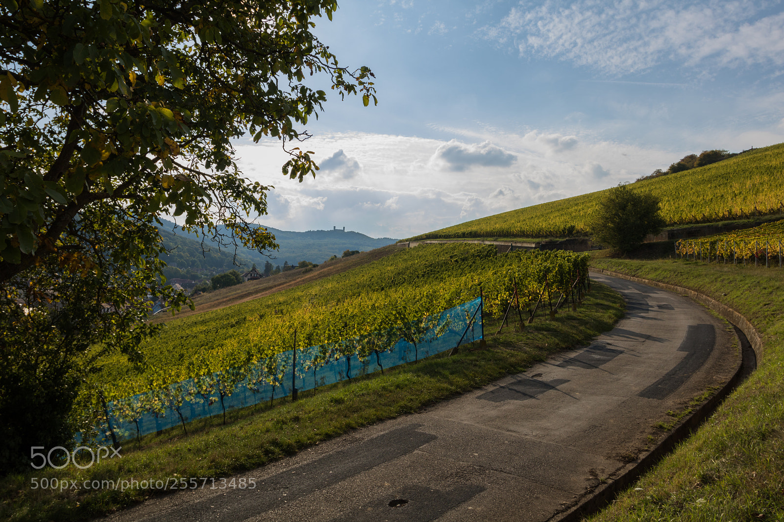 Canon EOS 760D (EOS Rebel T6s / EOS 8000D) sample photo. Sur la route photography