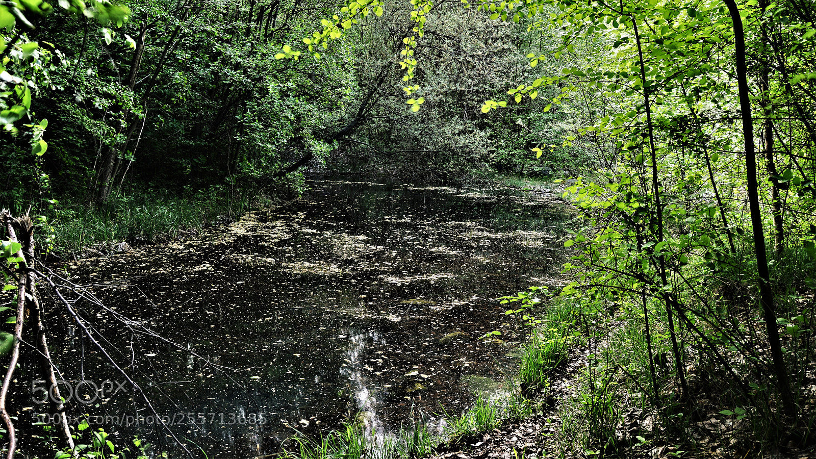 Nikon D3200 sample photo. Untitled photography