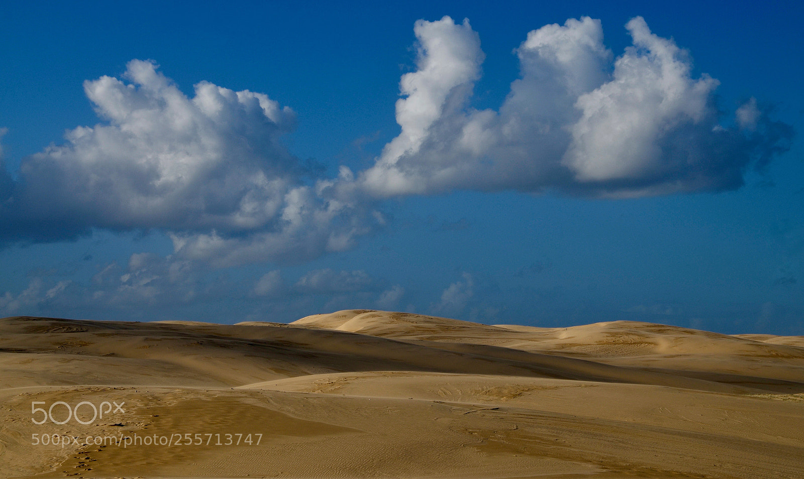 Nikon D5100 sample photo. Ocean above the desert photography