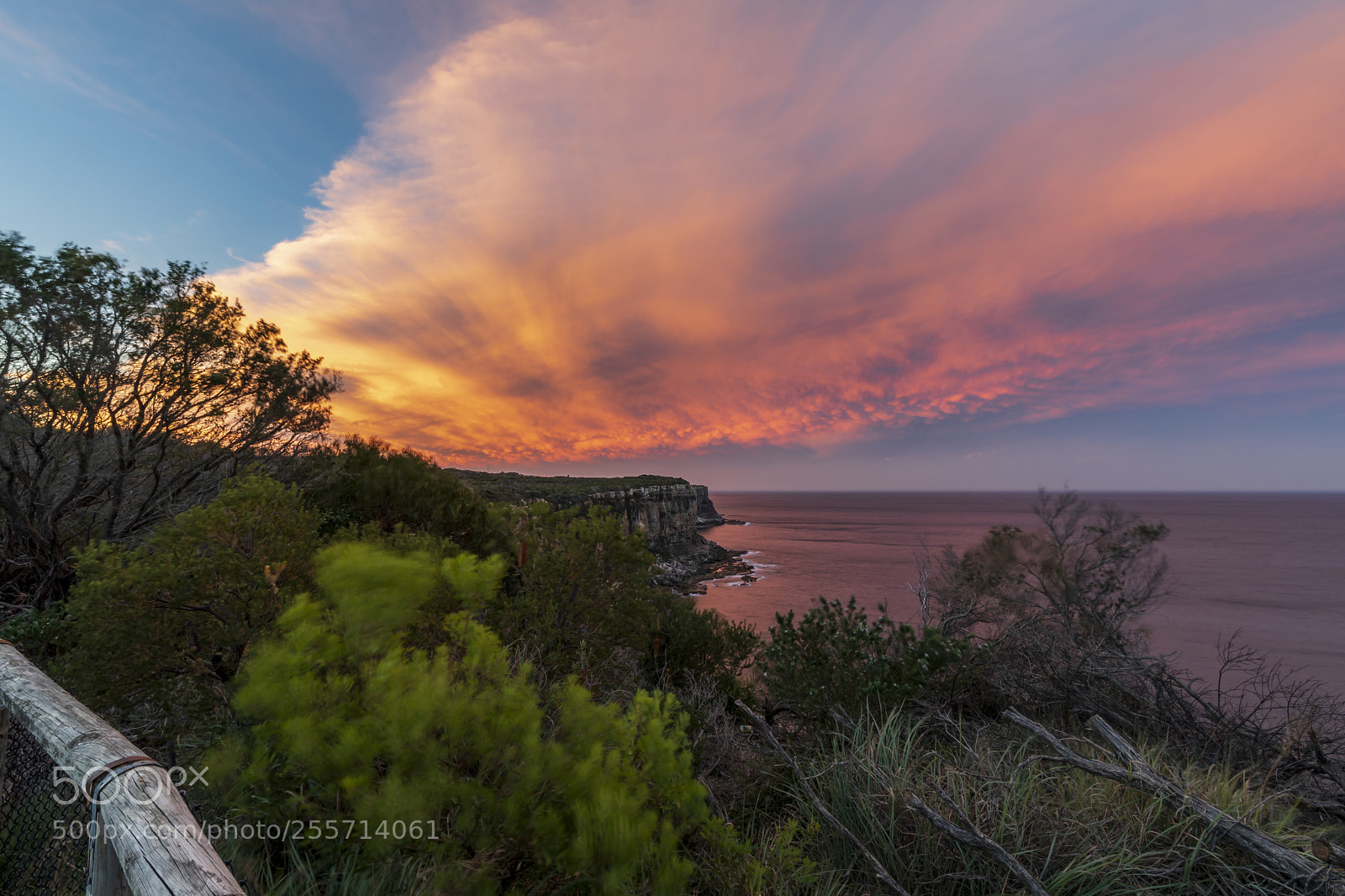 Canon EOS 5D Mark IV sample photo. Red sky at night photography