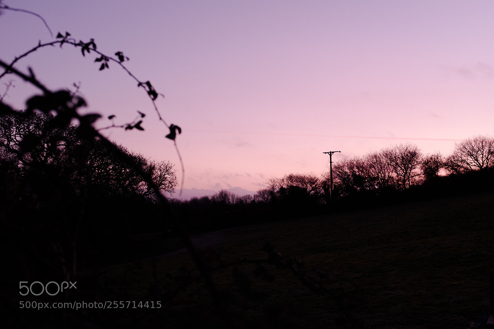 Fujifilm X100F sample photo. Magenta photography