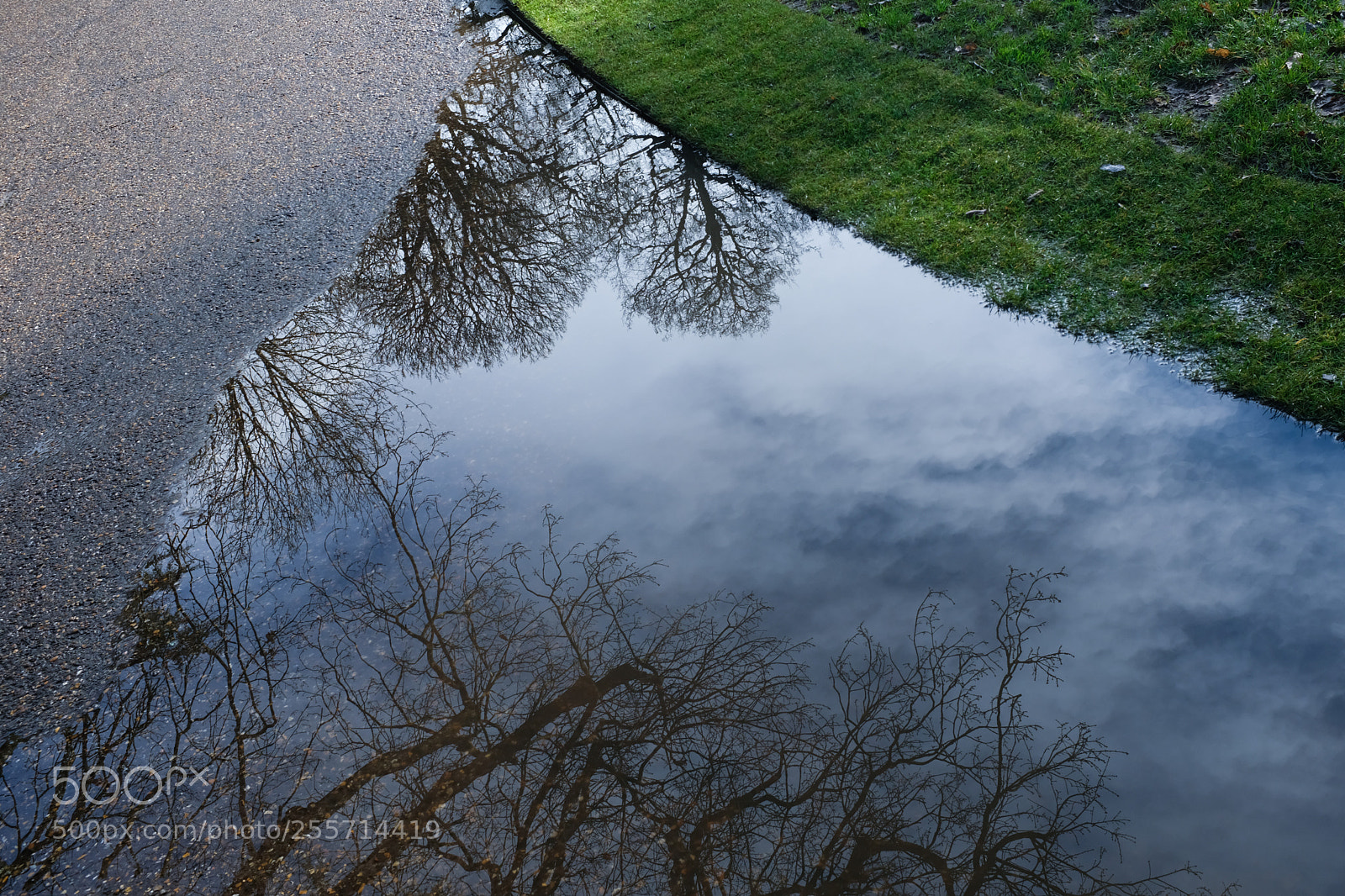 Fujifilm X100F sample photo. Reflection photography
