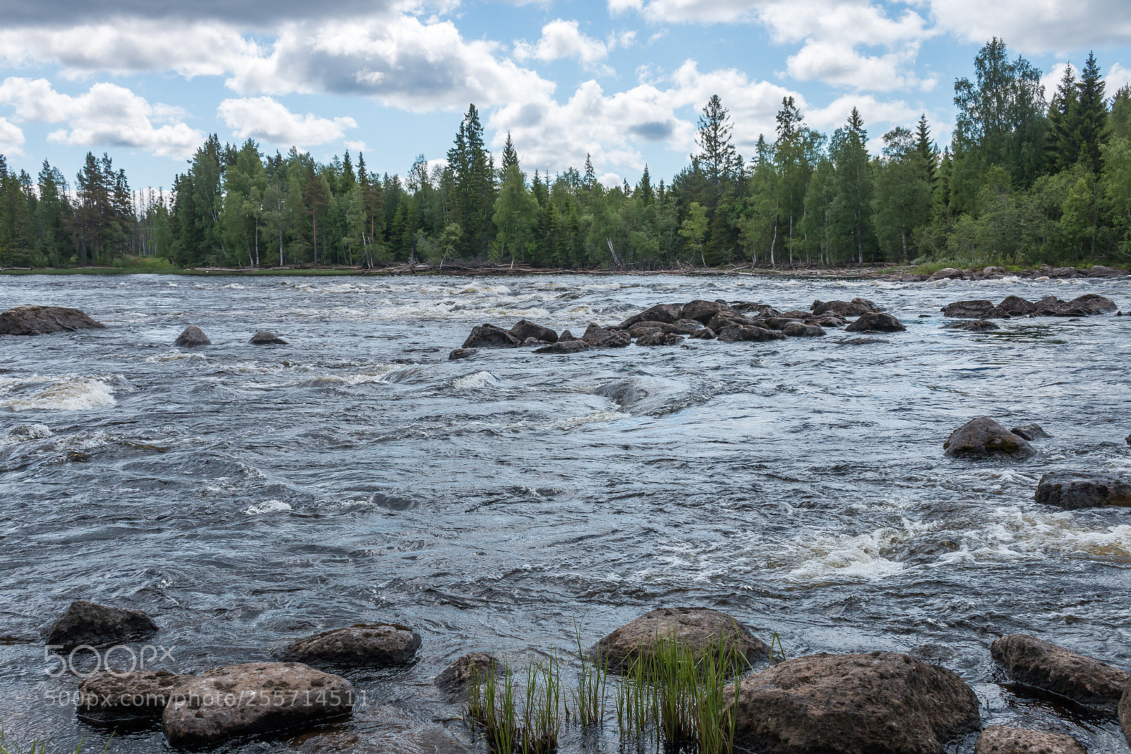 Canon EOS 70D sample photo. The river photography