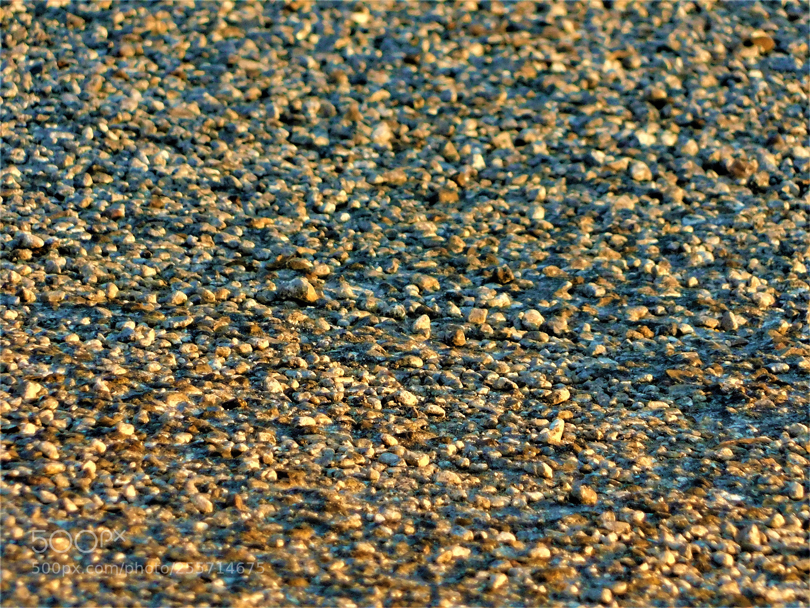 Nikon Coolpix B500 sample photo. () photography