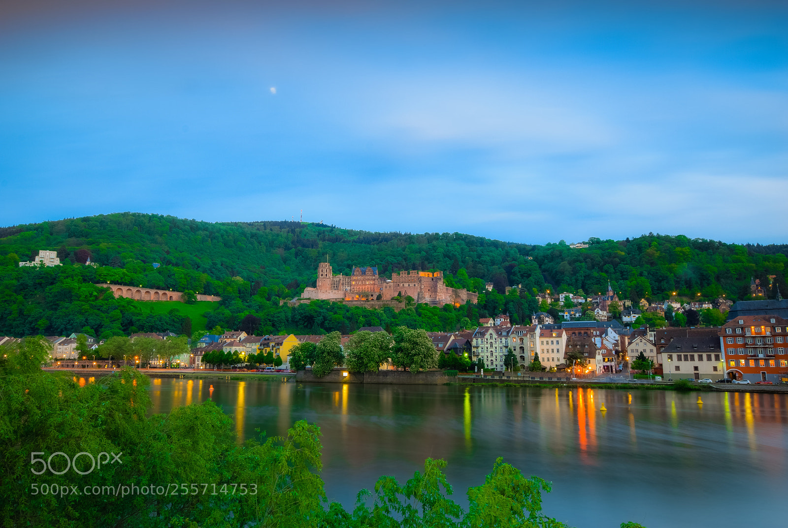Nikon D3300 sample photo. Heidelberg castle/ heidelberger schloss photography