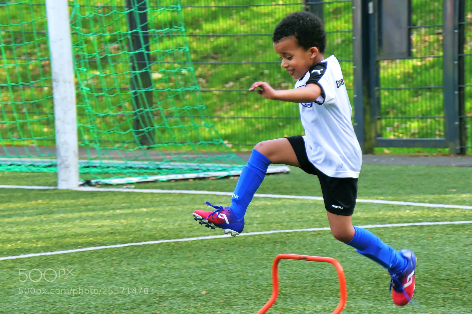Panasonic Lumix DMC-FZ2500 (Lumix DMC-FZ2000) sample photo. Jump photography