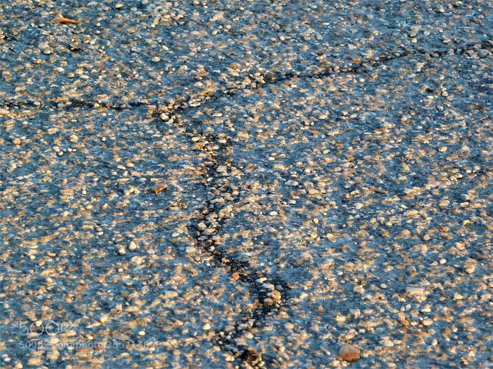 Nikon Coolpix B500 sample photo. () photography