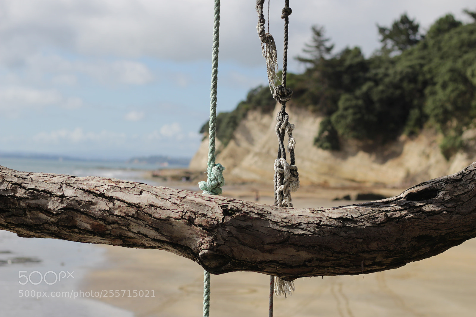 Canon EOS 700D (EOS Rebel T5i / EOS Kiss X7i) + Canon EF 50mm F1.8 STM sample photo. Just hanging photography