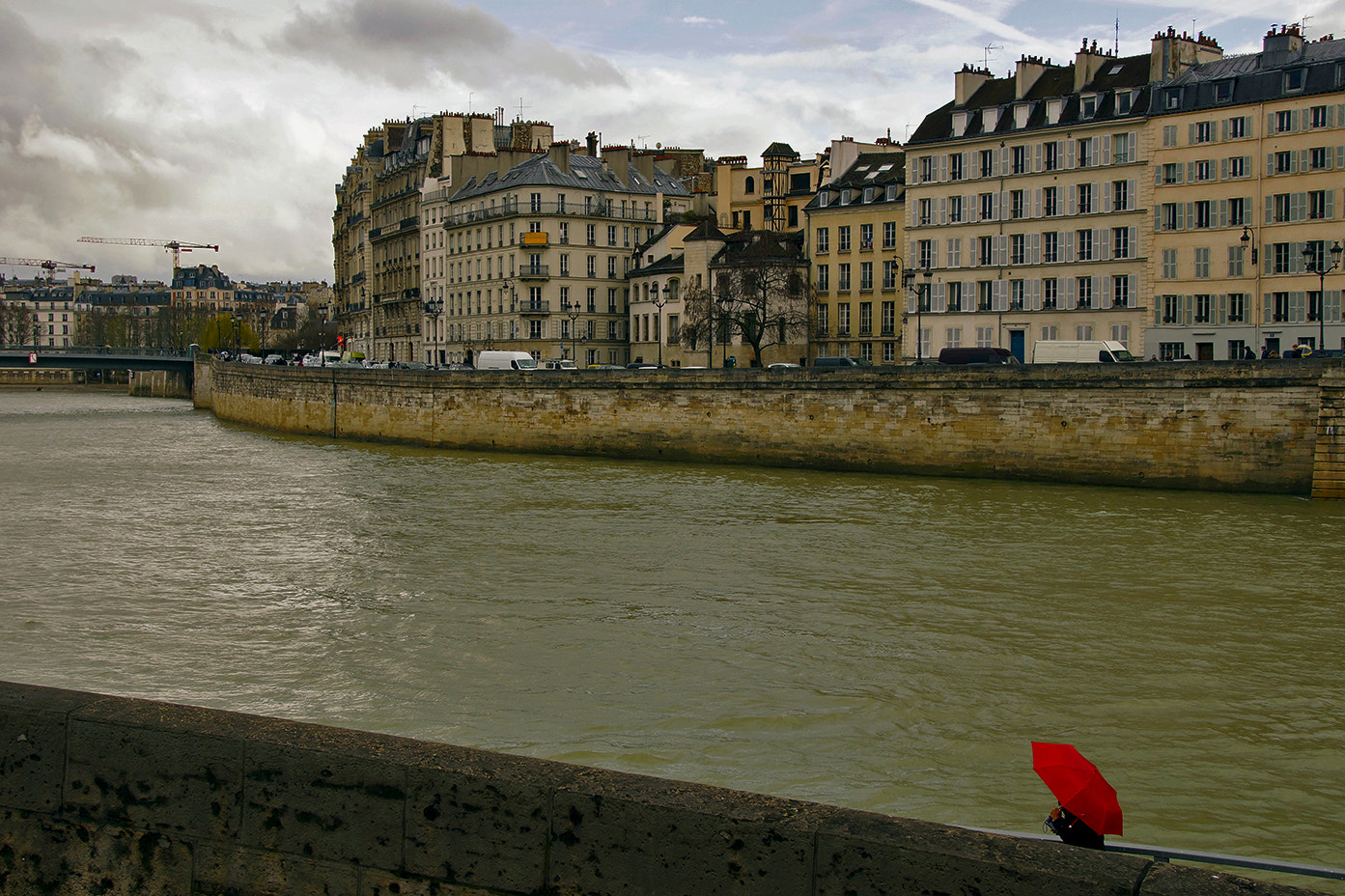 Sony SLT-A65 (SLT-A65V) sample photo. Seine and red umbrella, paris photography