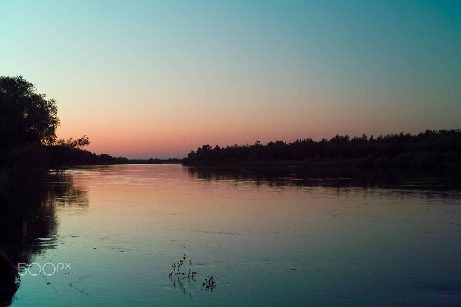 Sigma DP2 sample photo. Mistic morning on desna river, kyiv oblast photography