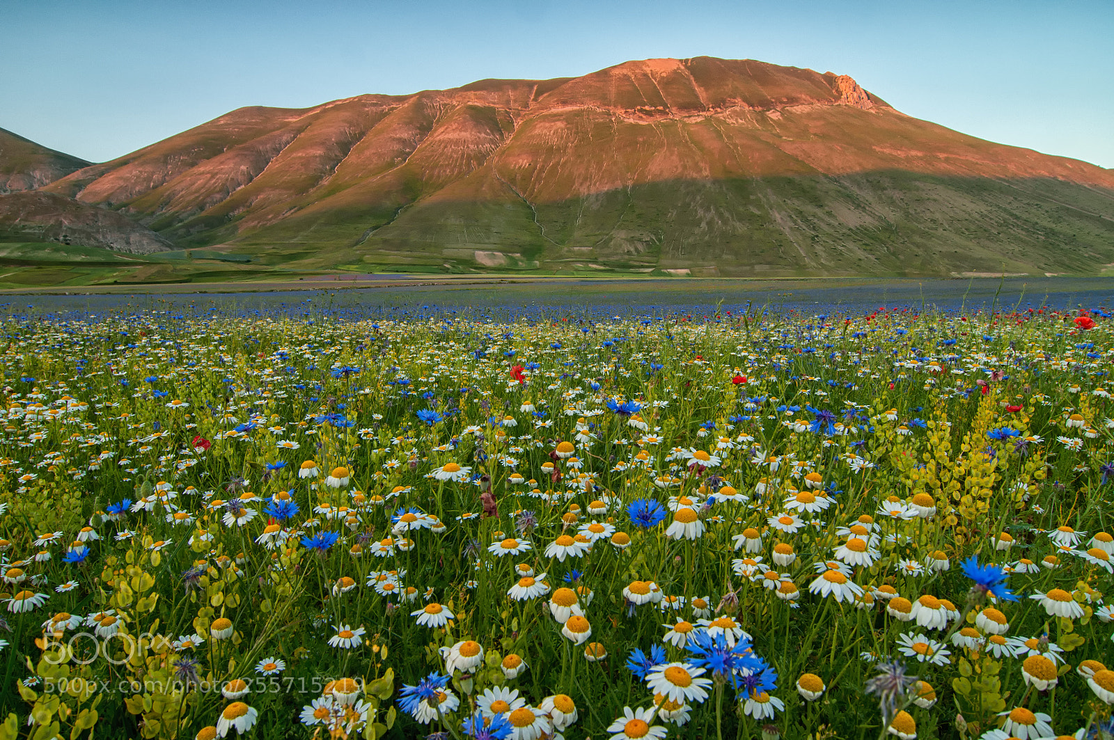 Nikon D90 sample photo. Castelluccio di norcia, 2015 photography