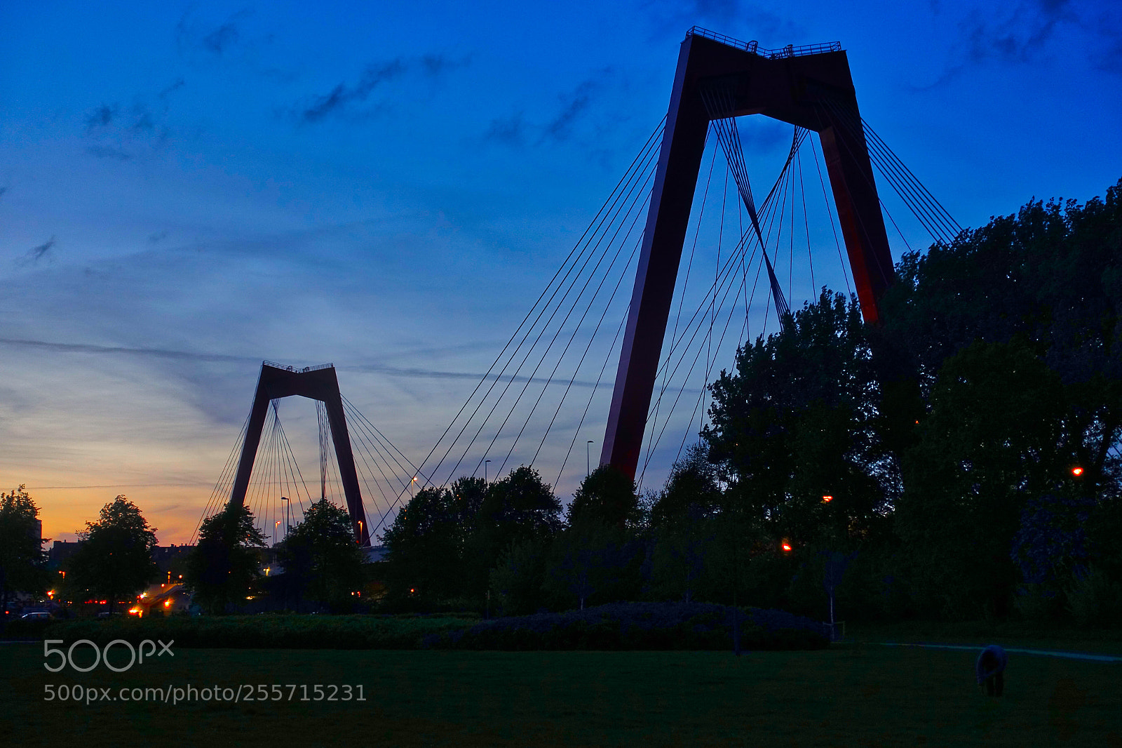 Sony Cyber-shot DSC-RX100 III sample photo. Red bridge 2 photography