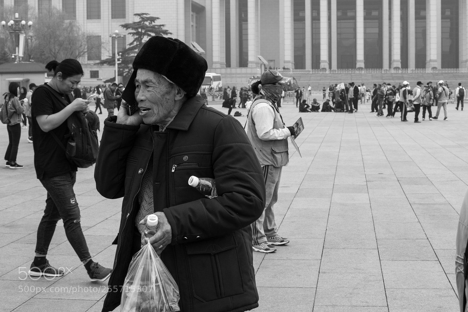 Nikon D5300 sample photo. Important call photography