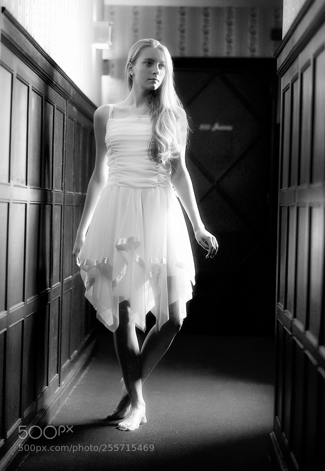 Nikon D600 sample photo. The ballerina photography