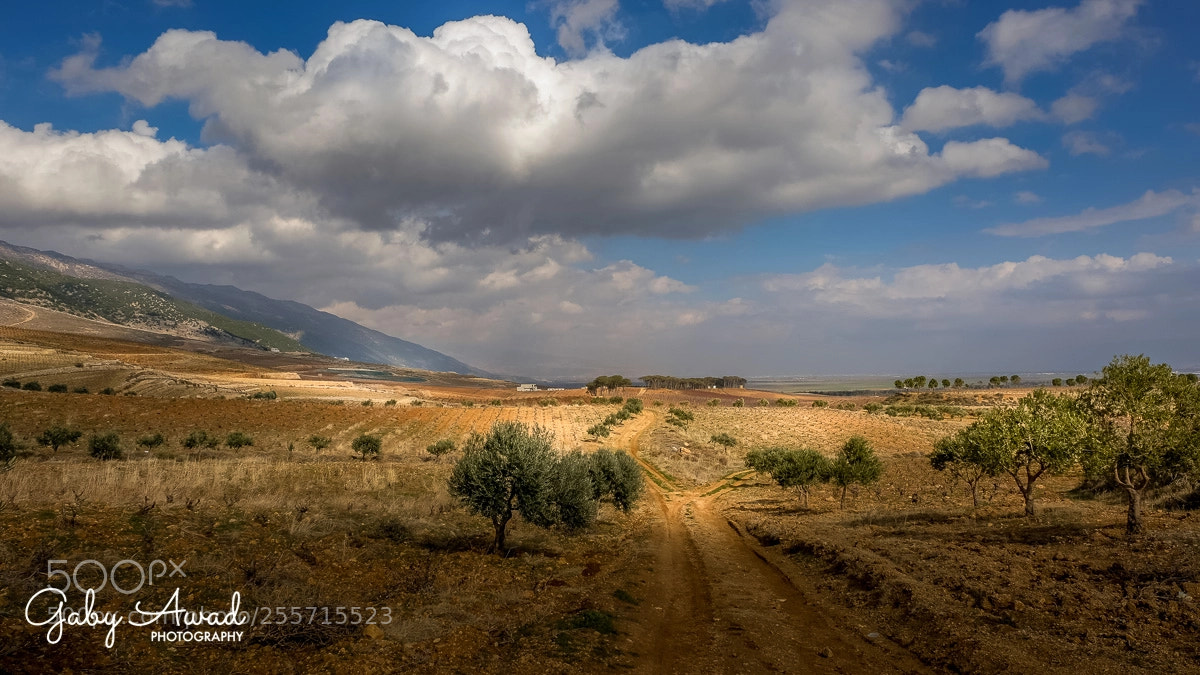 Fujifilm X-T2 sample photo. Bekaa valey vineyard photography