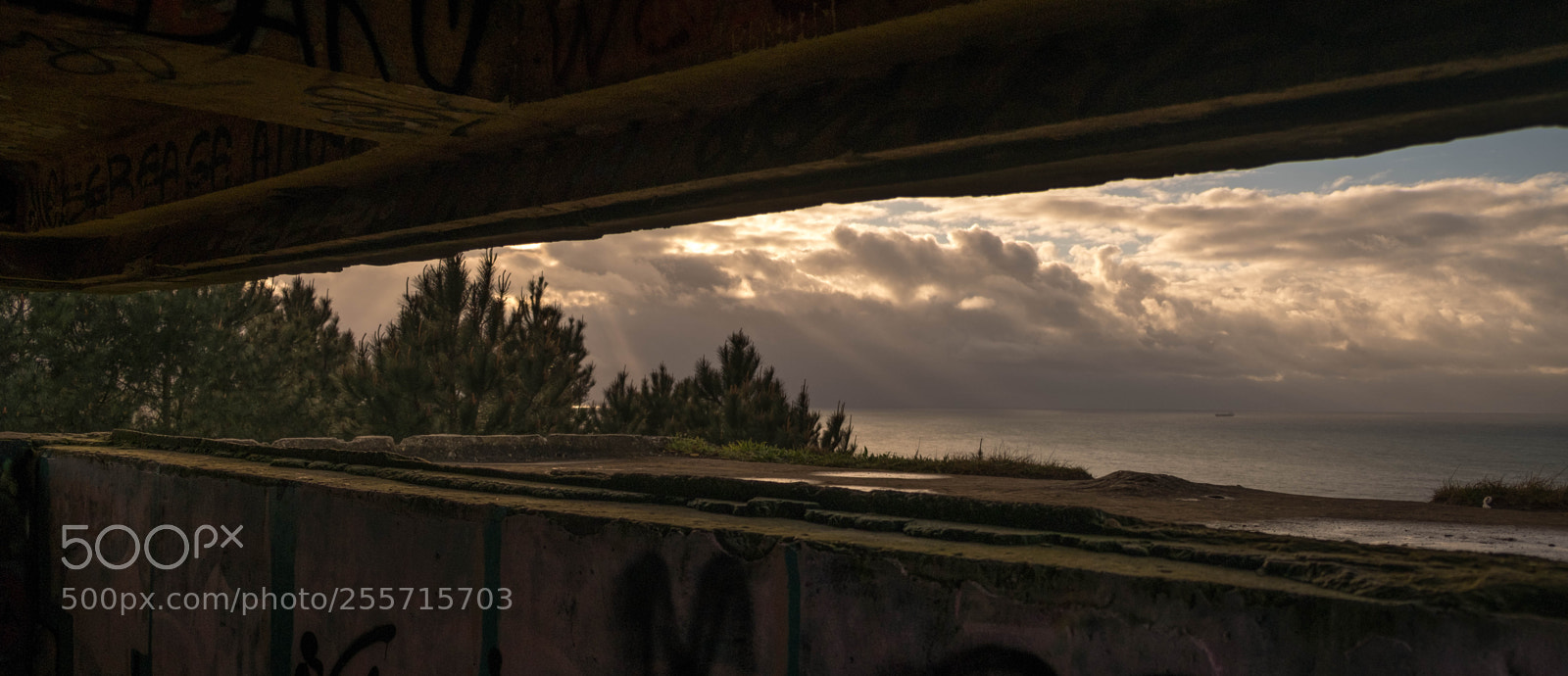Fujifilm X-T2 sample photo. Light in a frame photography