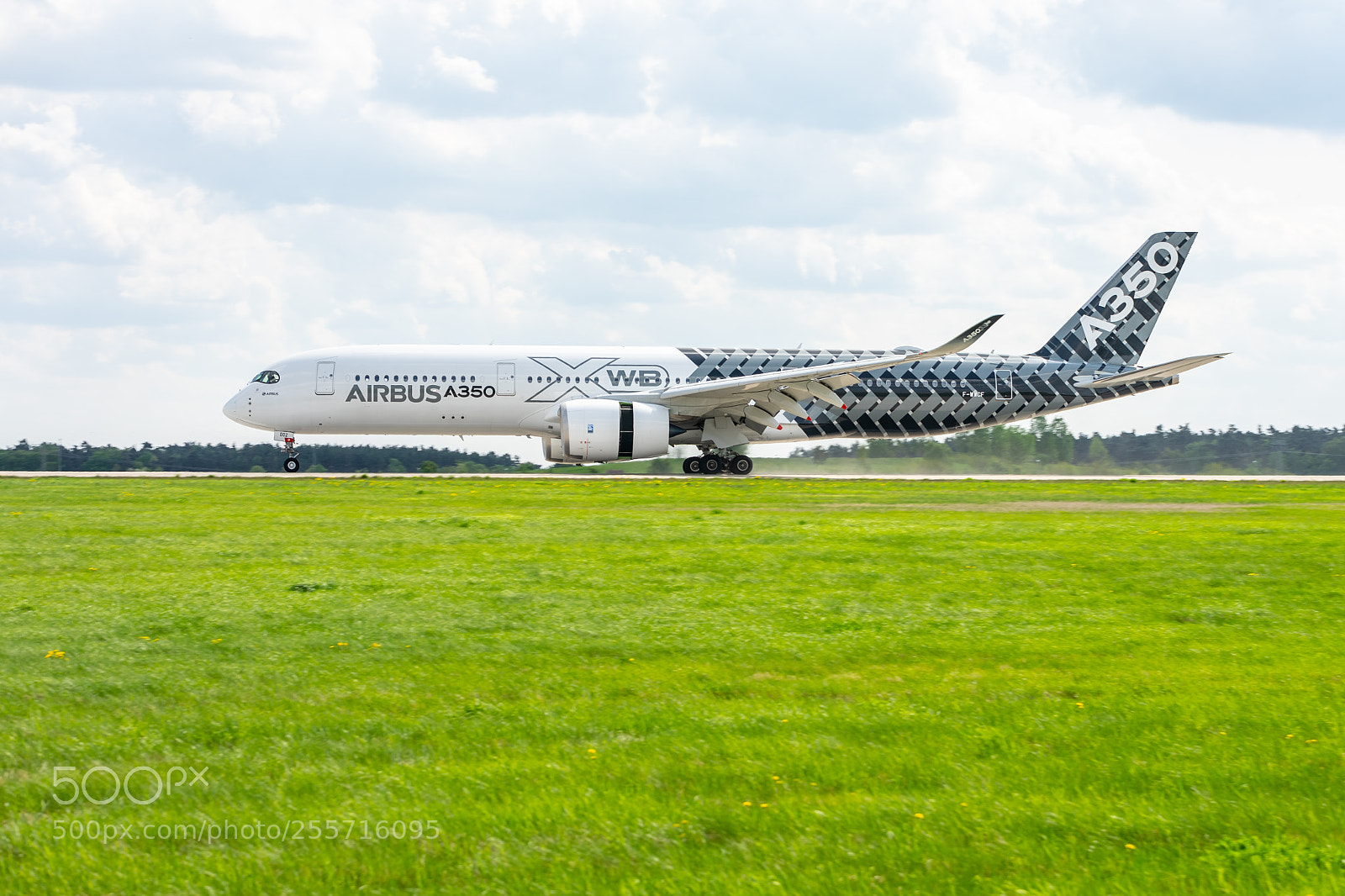 Sony a7 II sample photo. Landing of the wide-body photography