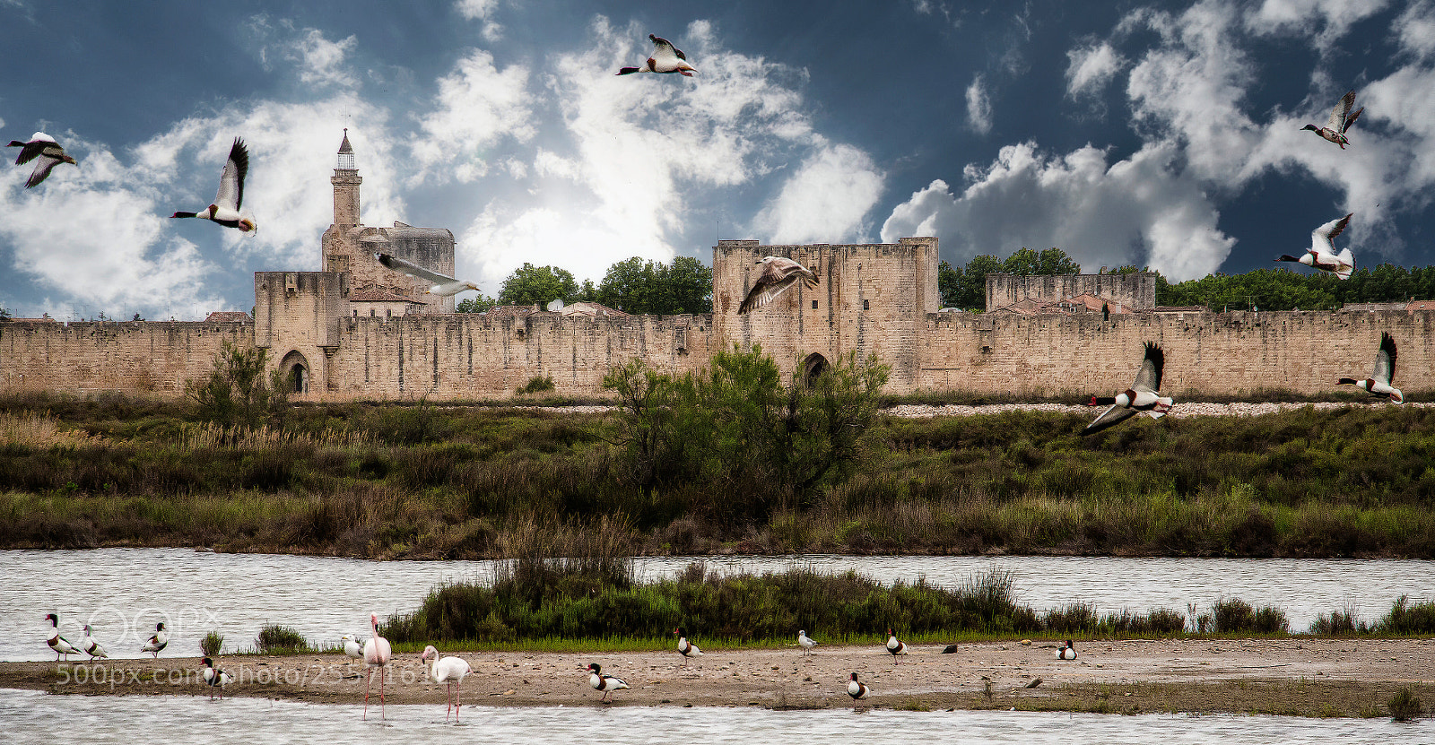 Canon EOS 70D sample photo. France camargue landscape salin photography