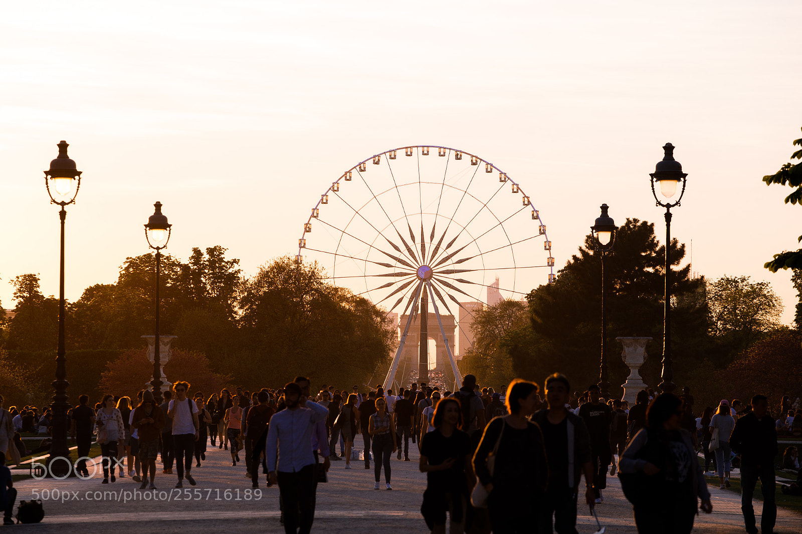 Canon EOS 6D sample photo. Jardin des tuileries paris photography