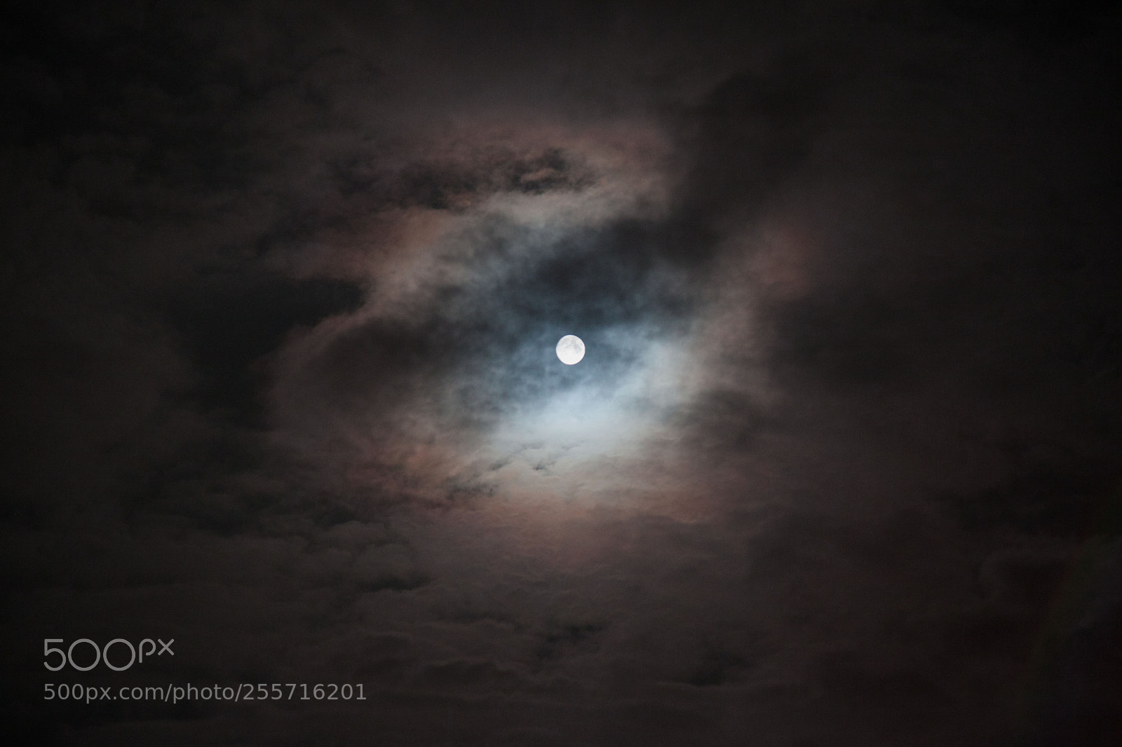 Canon EOS 5D Mark II sample photo. Moon photography