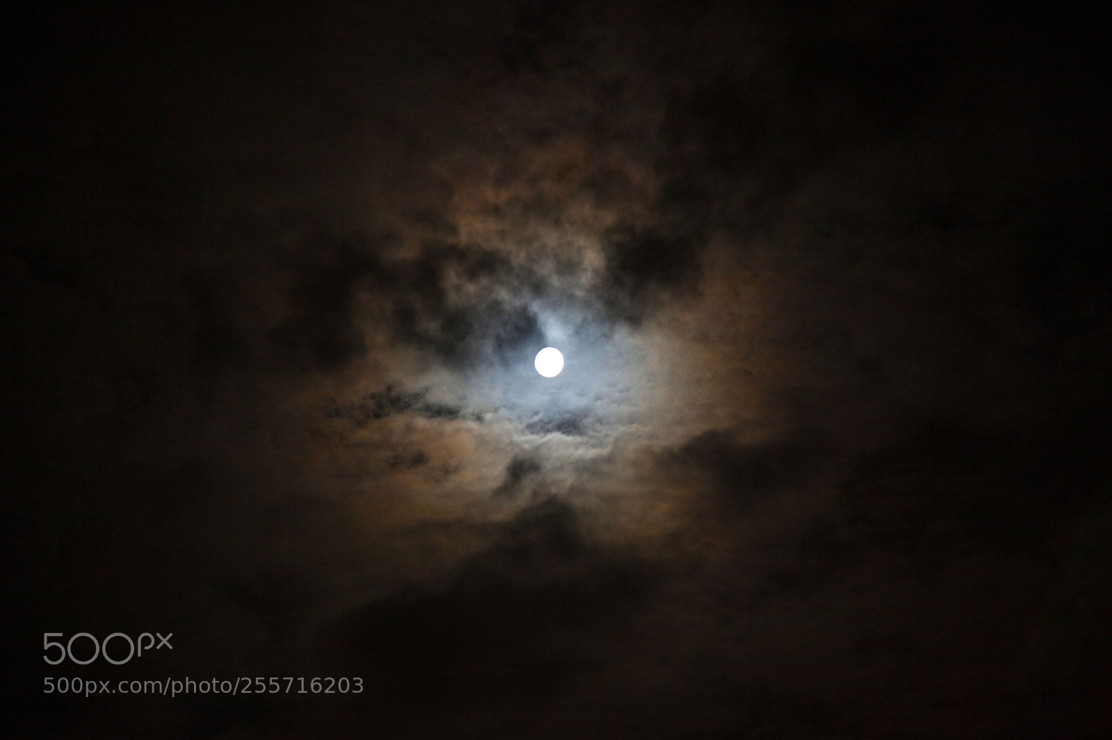 Canon EOS 5D Mark II sample photo. Moon photography