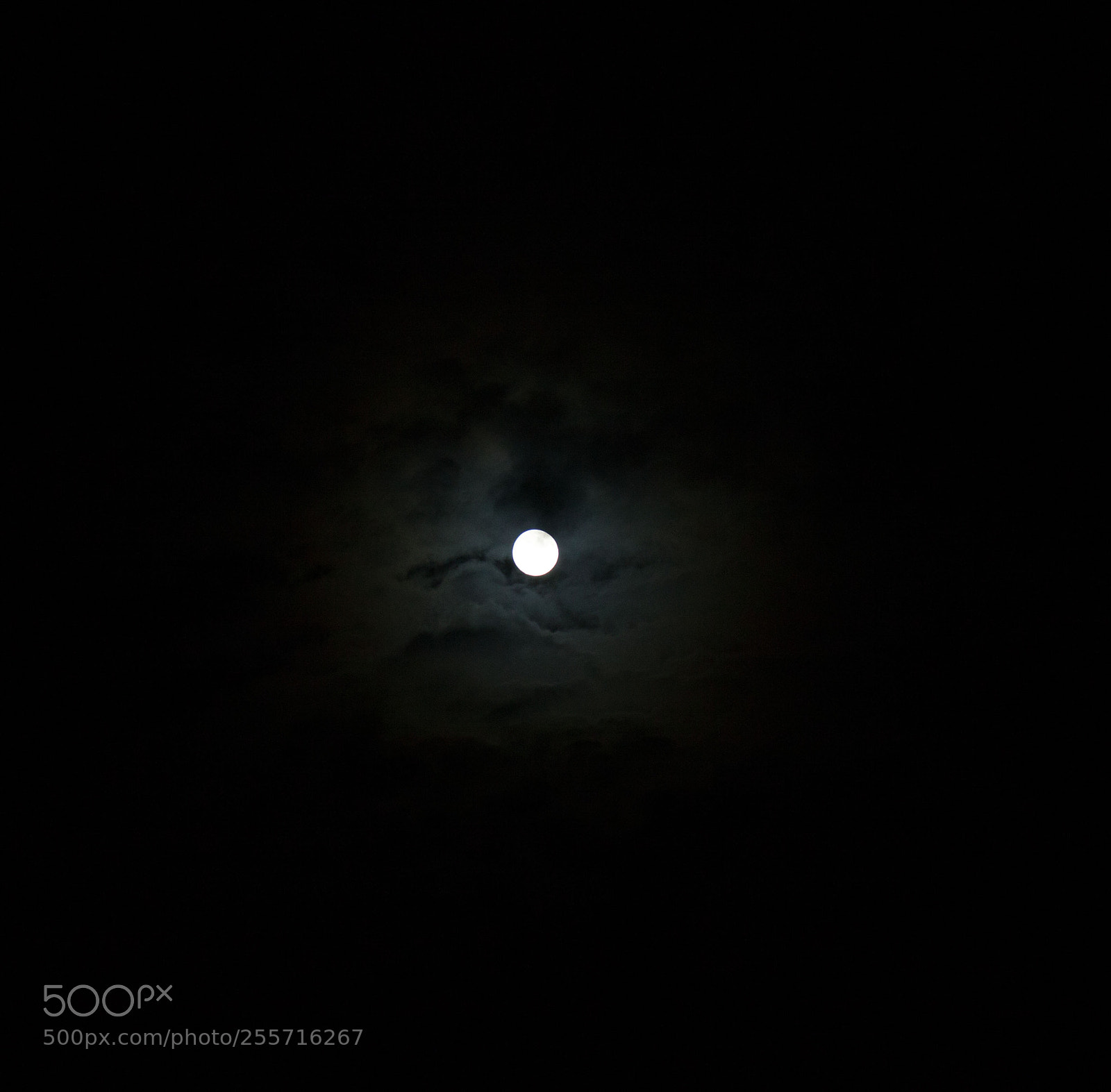 Canon EOS 5D Mark II sample photo. Moon photography