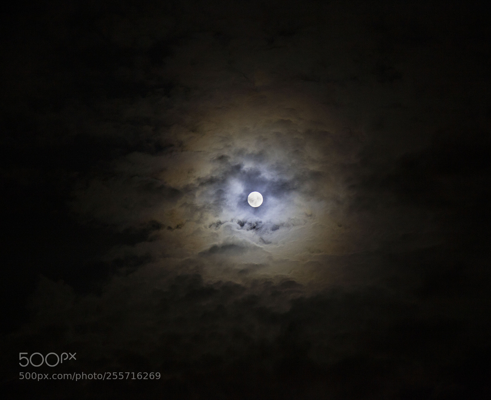 Canon EOS 5D Mark II sample photo. Moon photography