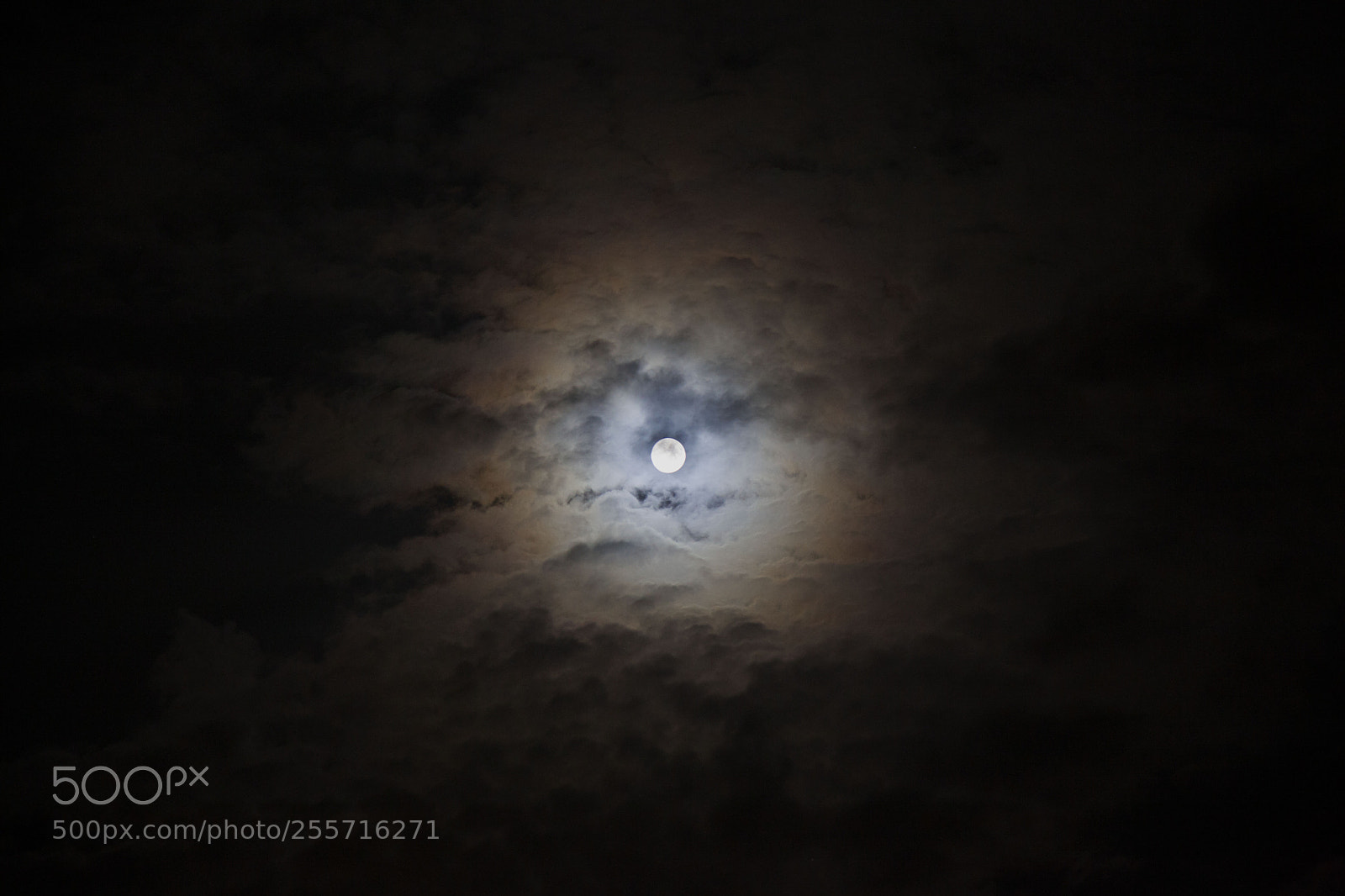 Canon EOS 5D Mark II sample photo. Moon photography