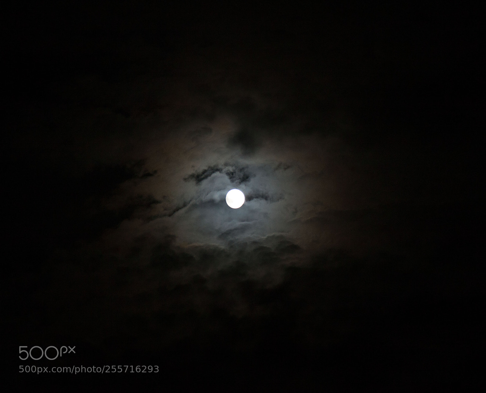 Canon EOS 5D Mark II sample photo. Moon photography