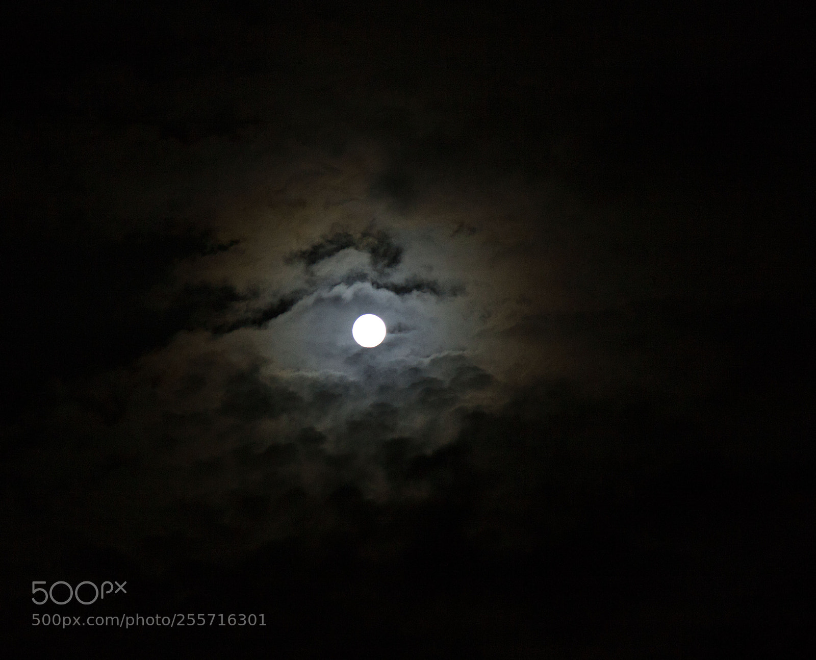 Canon EOS 5D Mark II sample photo. Moon photography