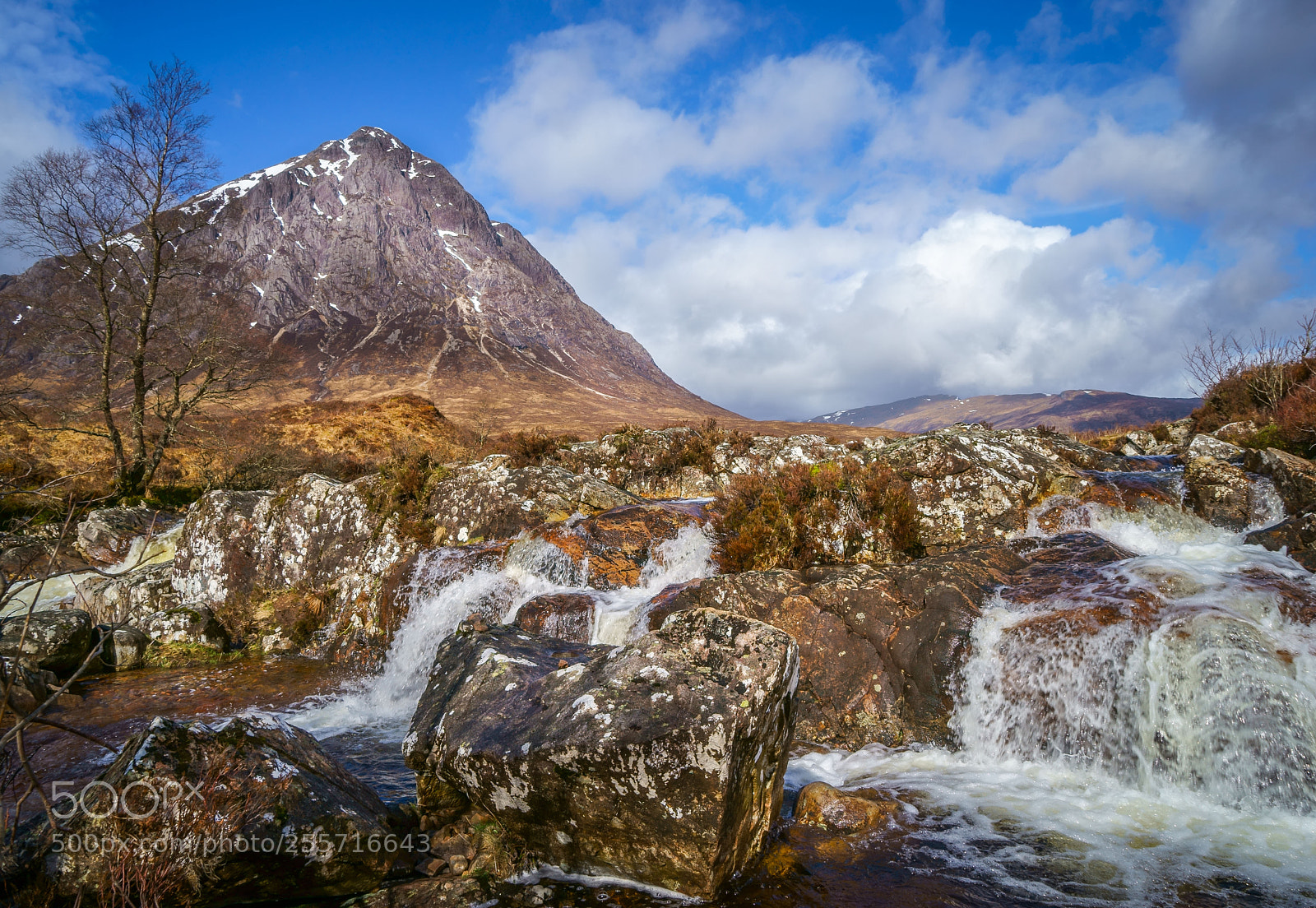 Sony a7 II sample photo. Buchail etive mhor photography