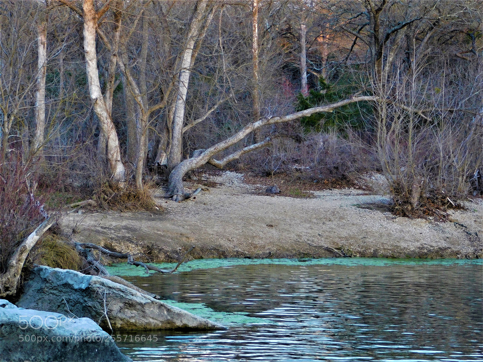 Nikon Coolpix B500 sample photo. () photography