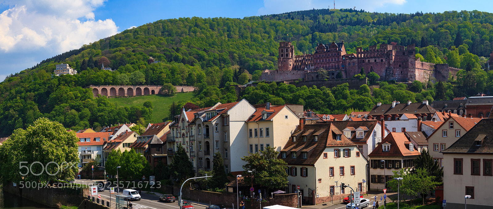 Canon EOS 5D Mark II sample photo. Heidelberg castle photography