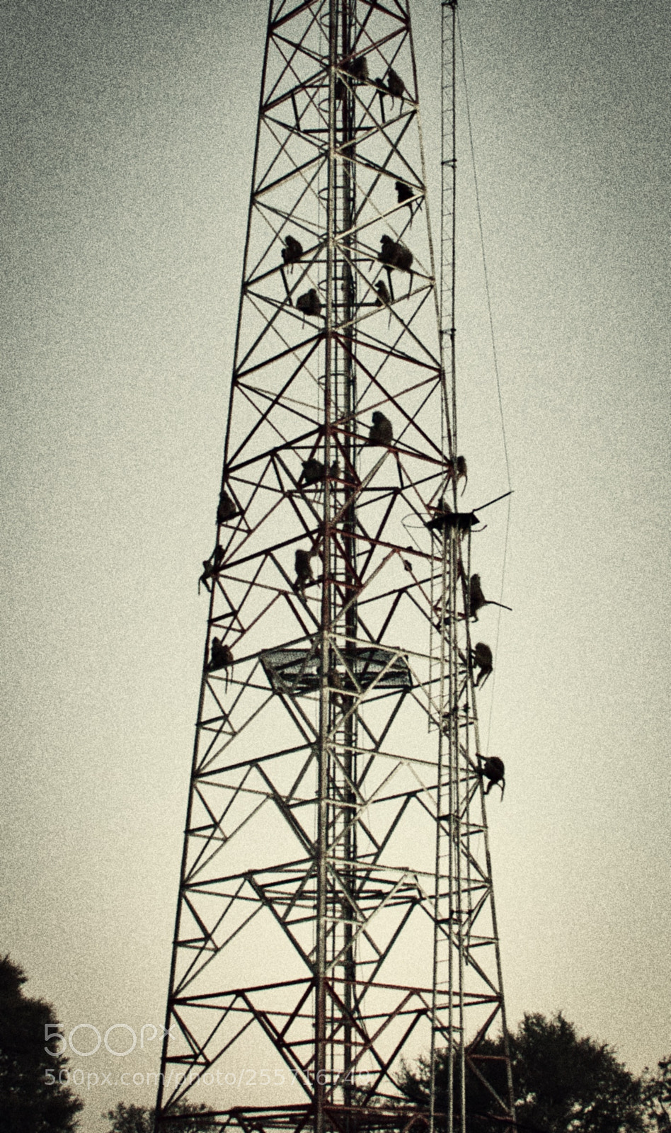 Nikon D90 sample photo. The climb of the photography