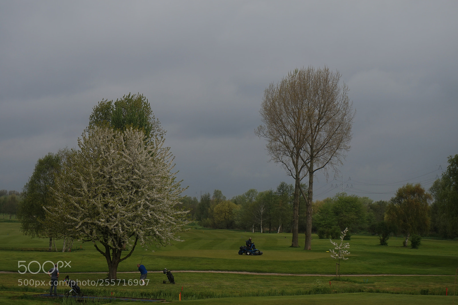 Sony Alpha a5000 (ILCE 5000) sample photo. Untitled photography