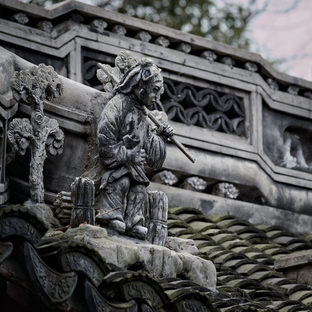 Nikon D3100 sample photo. Roof inhabitants photography