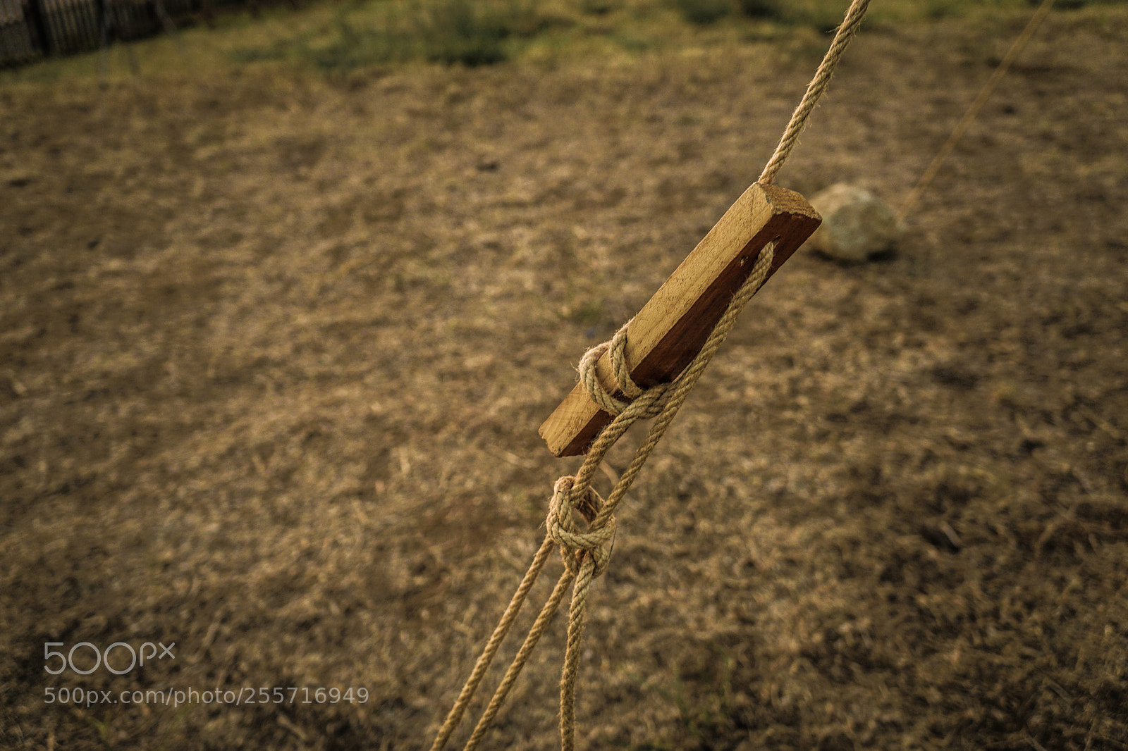 Sony a6000 sample photo. B () photography