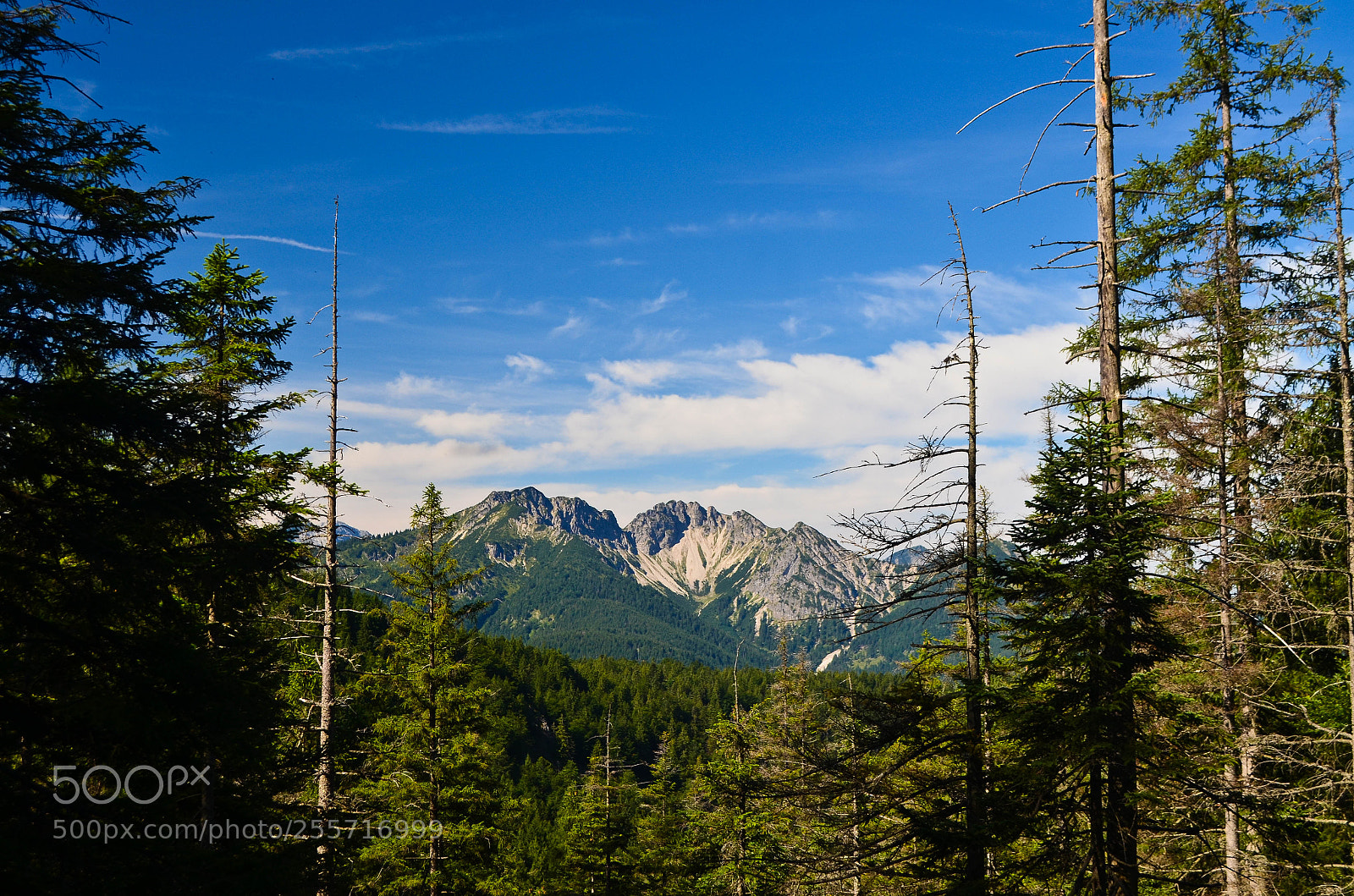 Nikon D5100 sample photo. Hiking iii photography