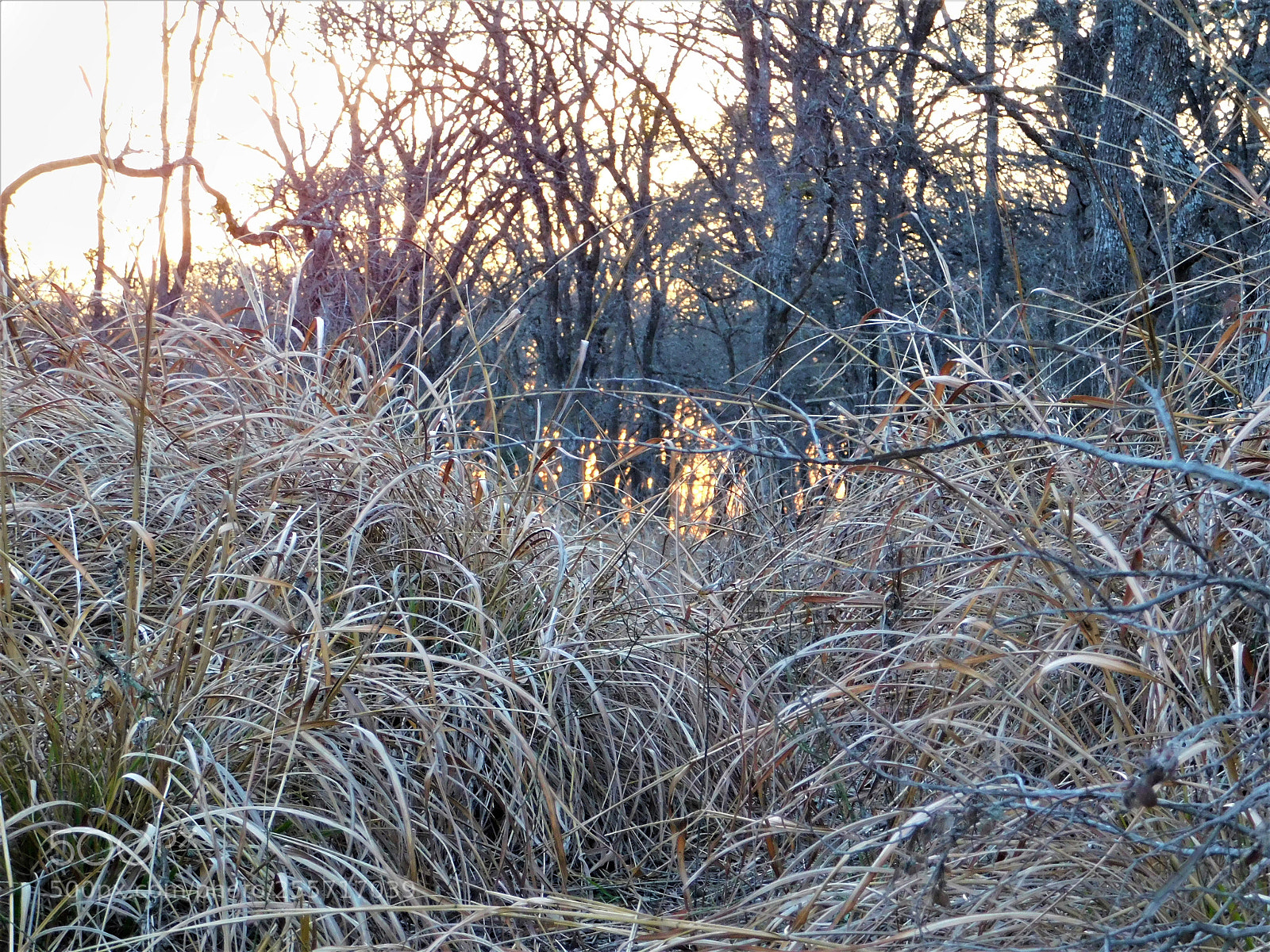 Nikon Coolpix B500 sample photo. () photography